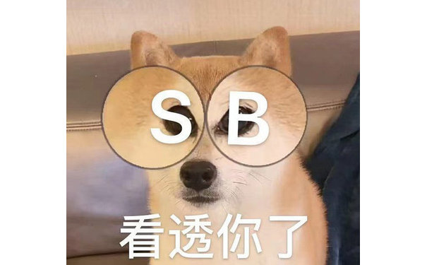 SB 看透你了(傻逼)