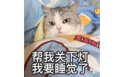 帮我关下灯我要睡觉了（猫咪表情包） - 猫咪表情包第五弹