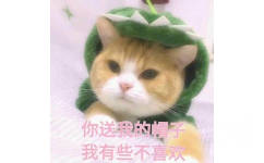 你送我的帽子 我有些不喜欢（绿帽子） - 一组萌萌的小猫咪表情包