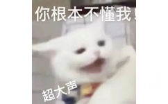 你根本不懂我超大声(猫猫表情包)