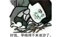 好饿，早晓得不来长沙了。