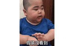 假装没看到(网红印尼小胖几BabyJrsugiantoTATAN)