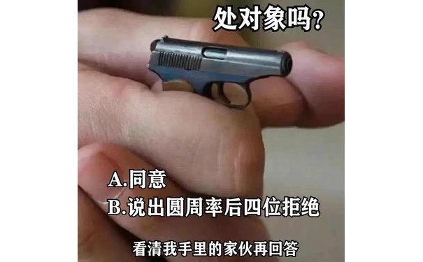 处对象吗?A.同意B说出圆周率后四位拒绝看清我手里的家伙再回答