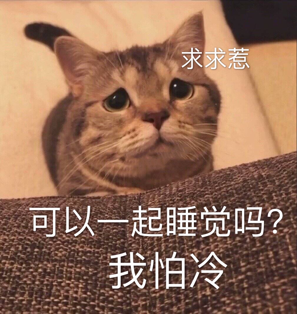 求求惹，可以一起睡觉吗？我怕冷