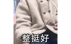 整挺好 GIF 动态表情包