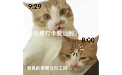 9:29卧槽打卡要迟到了8:00我真的需要这份工吗 - 双面猫表情包 ​