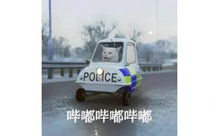 POLICE .哔嘟哔嘟哔嘟(猫咪出警表情包)