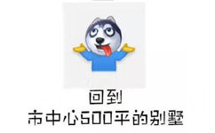 回到市中心500平的别墅 - 其实我只是想过那种平平淡淡的生活