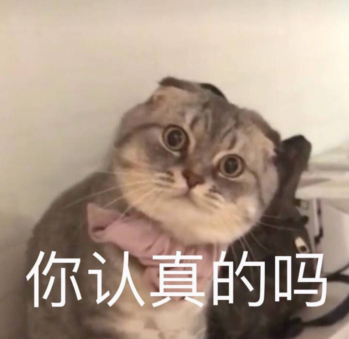 你认真的吗(猫咪)