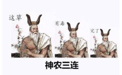 神农三连：这草 有毒 完了 - 古人三连系列齐了