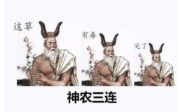 神农三连：这草 有毒 完了 - 古人三连系列齐了