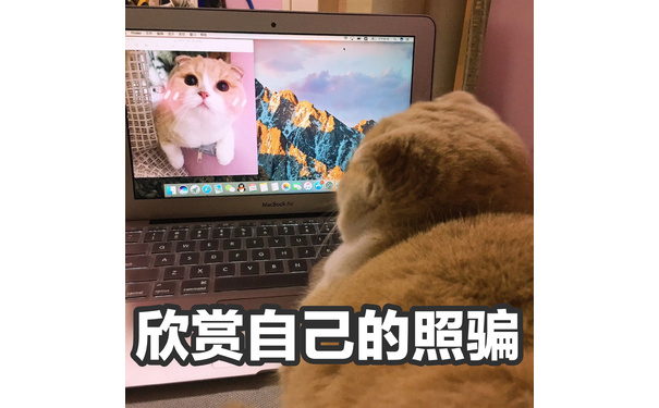 Finder文件编辑显示前往窗口帮助拼周二下午6:10QEinld西口心A日Macbook airRC欣赏自己的照骗 - 捕获一枚小猪喵