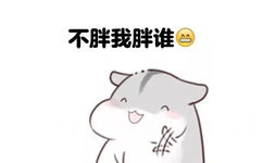 不胖我胖谁？ - 胖胖仓鼠表情包