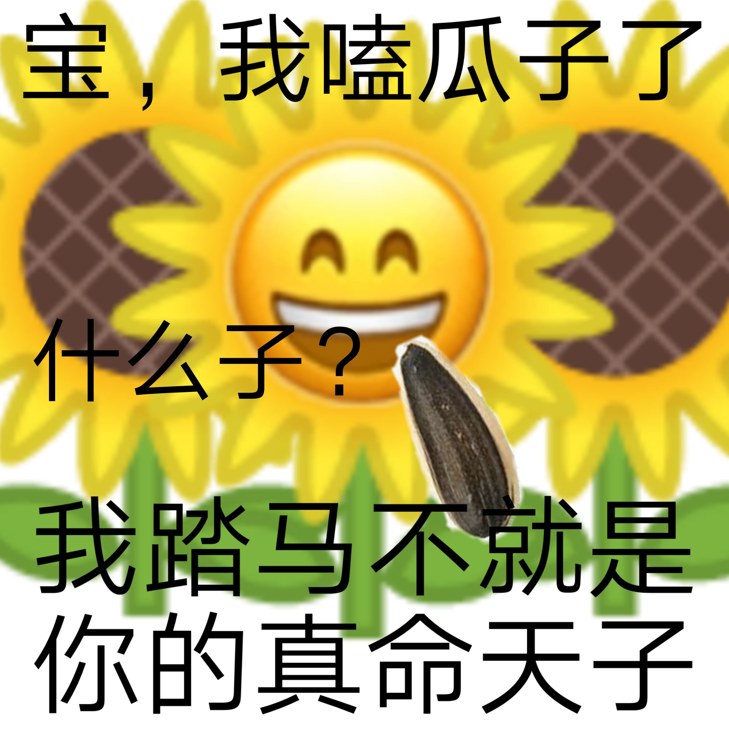 宝,我嗑瓜子了什么子?我踏马不就是你的真命天子 - 土味情话表情系列