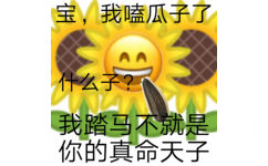 宝,我嗑瓜子了什么子?我踏马不就是你的真命天子 - 土味情话表情系列