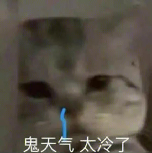 鬼天气太冷了 - 猫咪哭泣流泪猫猫头表情包 ​