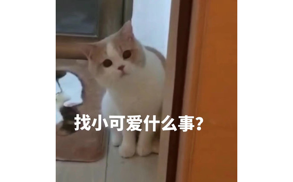 找小可爱什么事？（猫咪表情包）