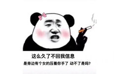 这么久了不回我信息是旁边有个女的压着你手了动不了是吗?(熊猫头表情包)