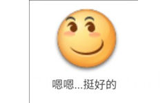 嗯嗯挺好的 - 笑脸emoji表情包