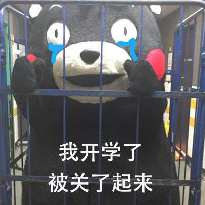 我开学了被关了起来