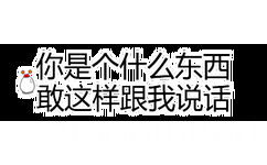 你是个什么东西敢这样跟我说话 - 一组纯文字斗图表情包