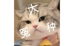 种 - 可爱猫猫表情包