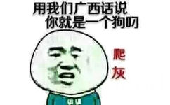 用我们广西话说你就是一个狗叼会,长爬