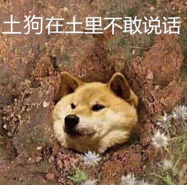 土狗在土里不敢说话