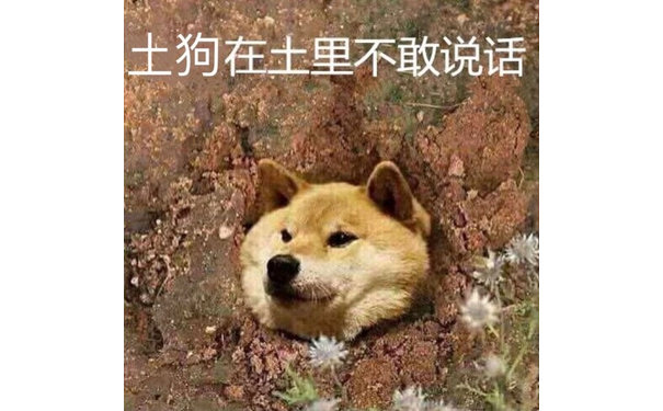 土狗在土里不敢说话