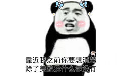 靠近我之前你要想清楚，除了美貌我什么都没有（熊猫头）