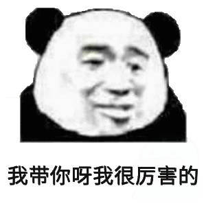 我带我很厉害的(熊猫头表情包)