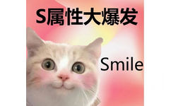 S属性大爆发Smile