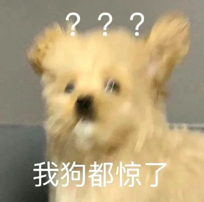 ???我狗都惊了