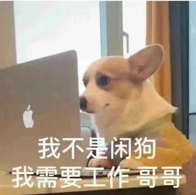 我不是闲狗我需要工作哥哥