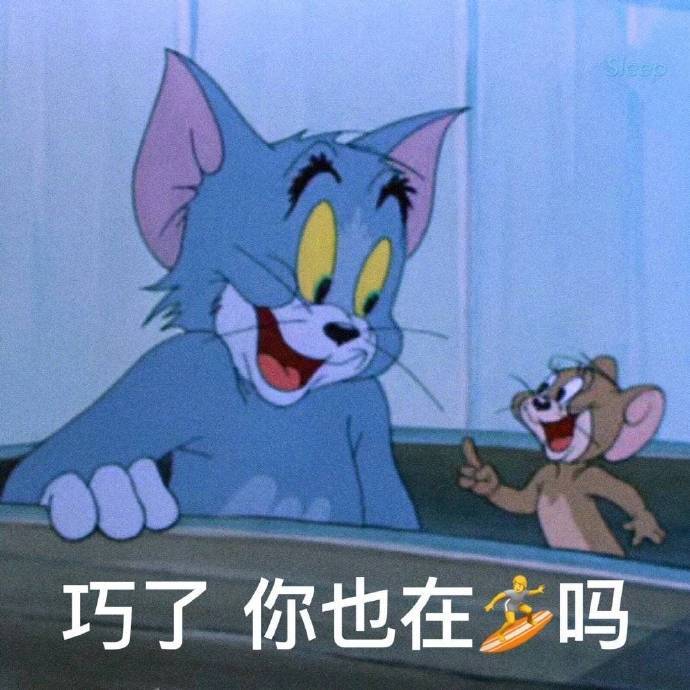 巧了，你也在冲浪吗（猫和老鼠表情包）