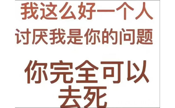 我这么好一个人讨厌我是你的问题你完全可以去死