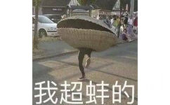 我超蚌的