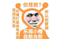 你骂我?骂我没关系所谓打是亲骂是爱所以你爱我乐观小橙自给台阶 - 乐观小橙表情包（ Cr: 猪曼）