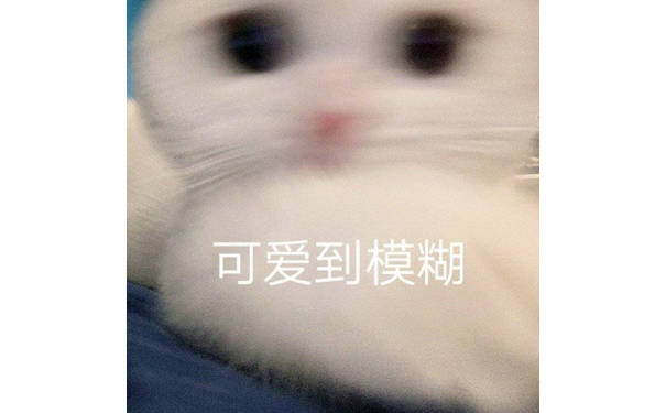 可爱到模糊