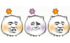 三朵小花 - 猥琐猫一朵小花表情