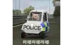 POLICE 哔嘟哔嘟哔嘟(猫咪开警车)