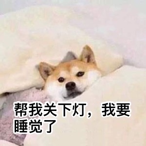 帮我关下灯，我要睡觉了 - 汪星人中最可耐的还是doge