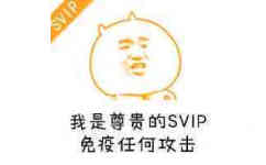 我是尊贵的SVIP，免疫任何攻击！