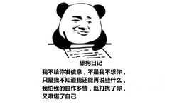 舔狗日记：我不给你发信息，不是我不想你，只是我不知道我还能再说些什么，我怕我的自作多情，既打扰了你，又难堪了自己