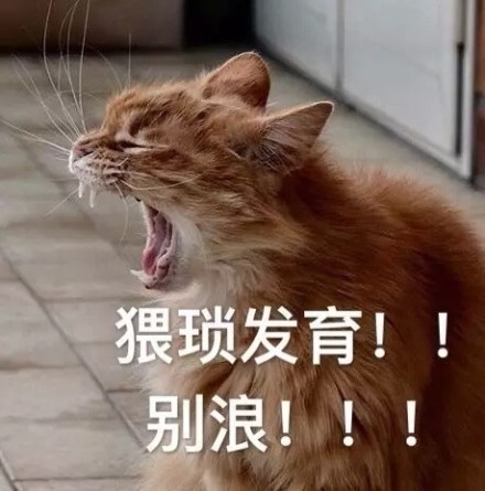 猥琐发育！！别浪！ - 开语音打王者荣耀时，来自队友的呐喊