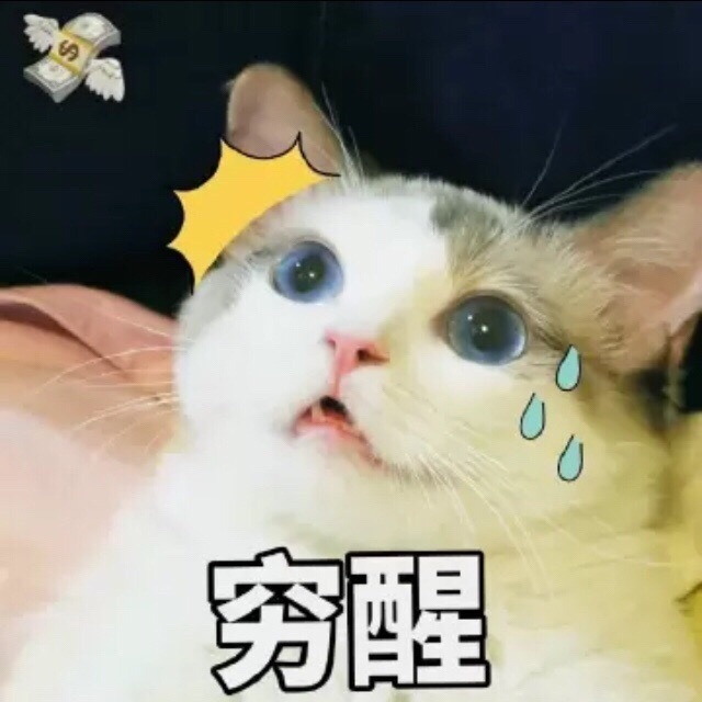 穷醒（猫咪表情包）