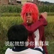 说起就想惨你两耳屎(非主流葬爱家族)