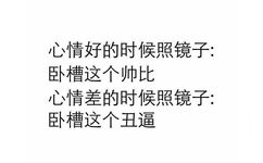 心情好的时候照镜子：卧槽这个帅比，心情差的时候照镜子：卧槽这个丑逼 - 纯文字表情系列