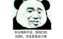 你长得胖不说，游戏打的也很6，完全就是战斗猪