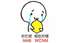 你忙吧 我吃柠檬 （NMA WCNM） - 热门表情包精选20170515